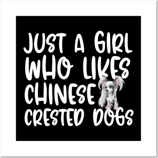 Just A Girl Who Likes Chinese Crested Dogs Posters and Art